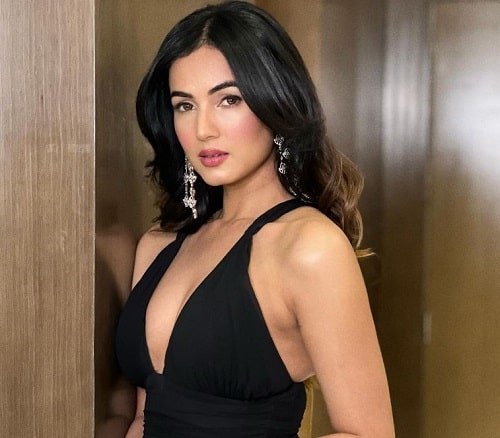 Sonal Chauhan Wiki, Height, Age, Boyfriend, Family, Biography & More
